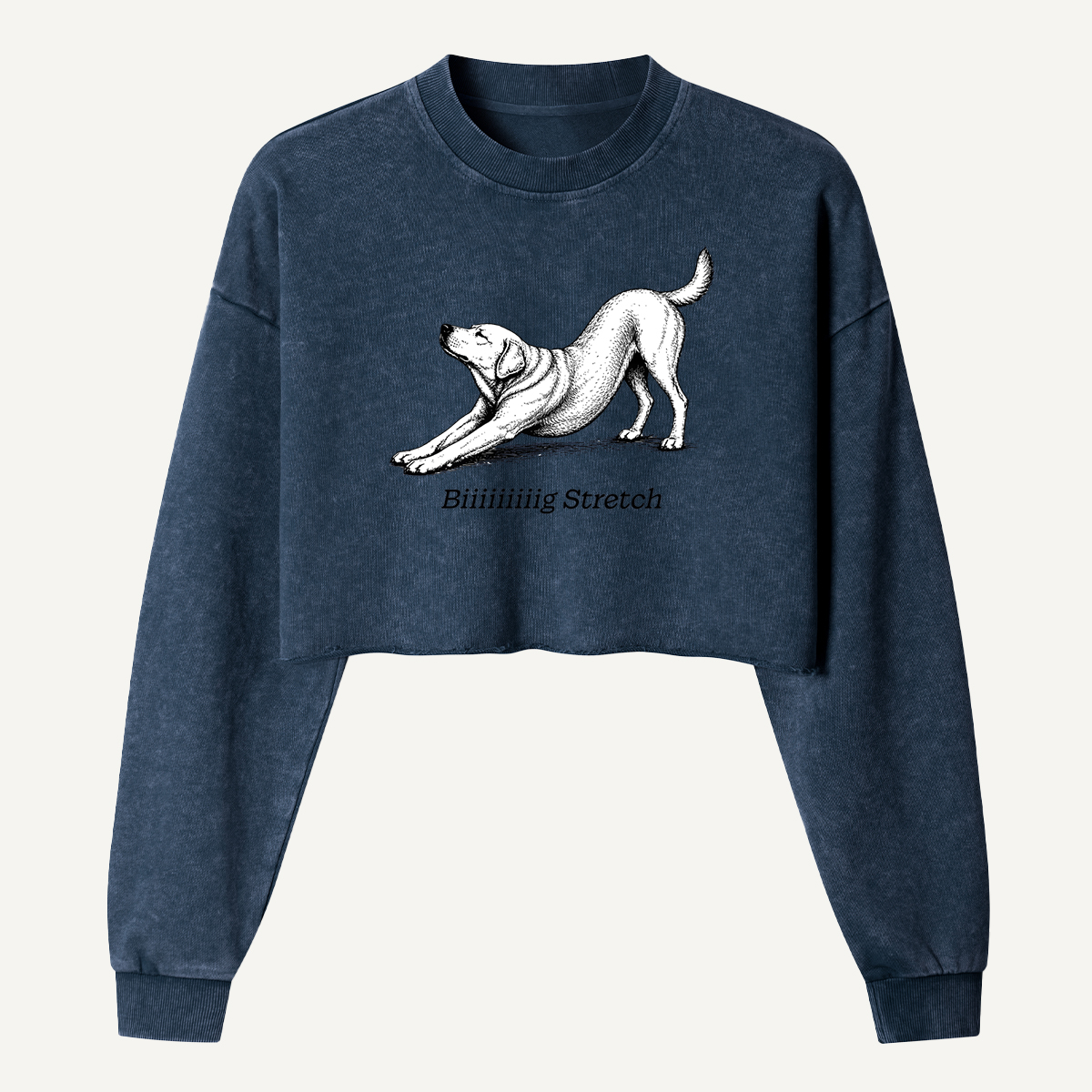 Downward Dog Stretching Hound Women's Washed Cropped Sweatshirt