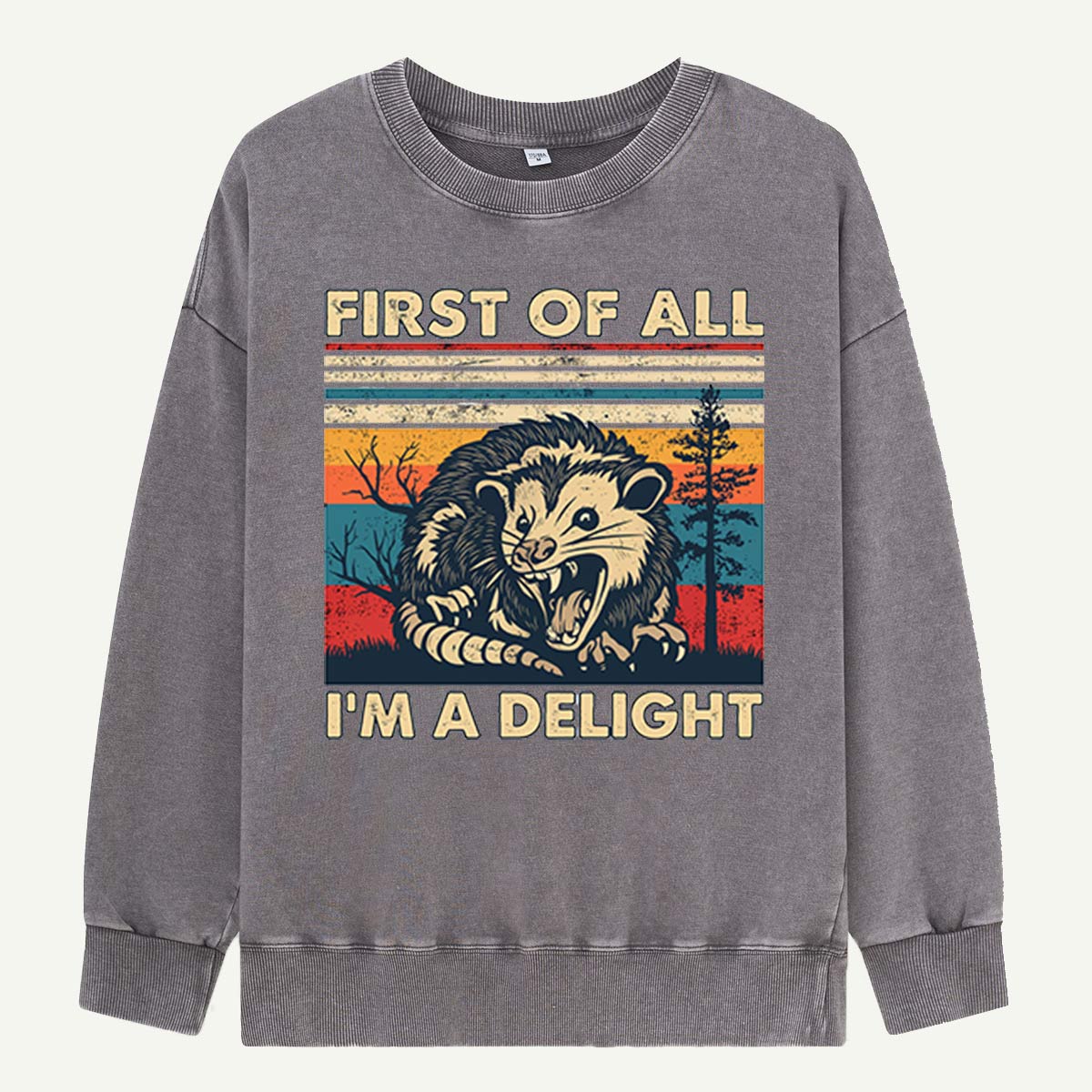 First of All I’m a Delight Opossum  Washed Sweatshirts