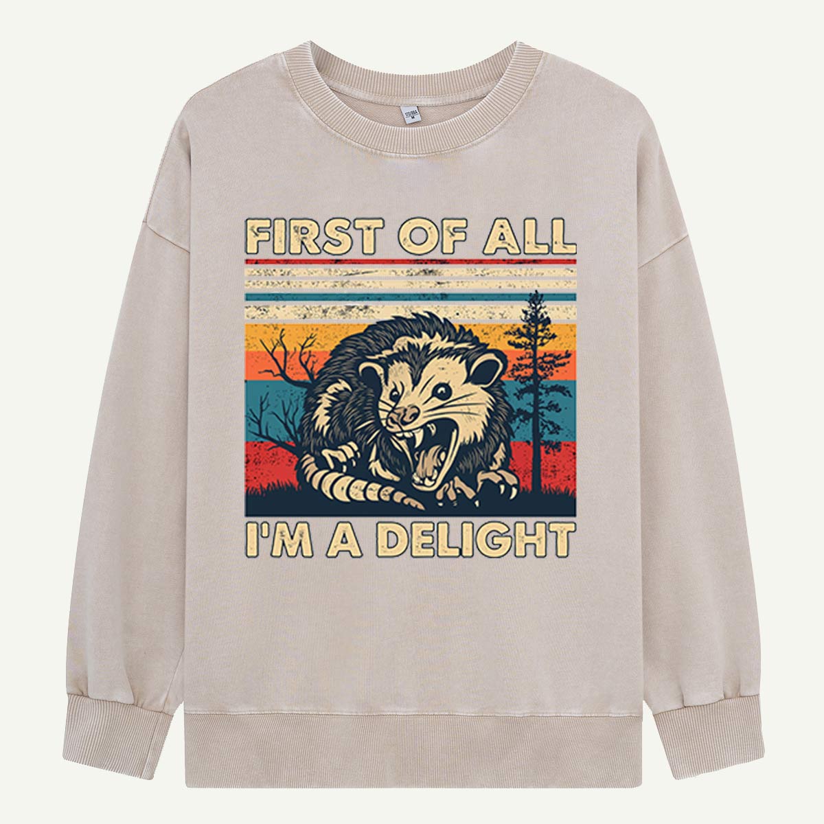 First of All I’m a Delight Opossum  Washed Sweatshirts