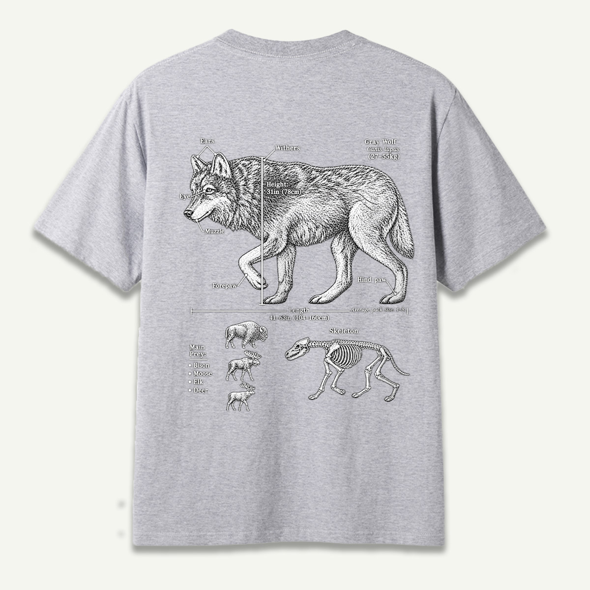Wolf C Lupus Anatomy Diagram T-Shirt