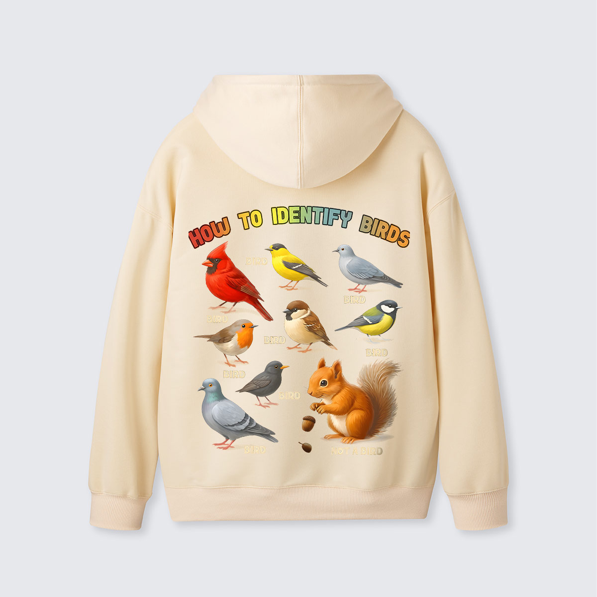 How to Identify Birds Hoodie