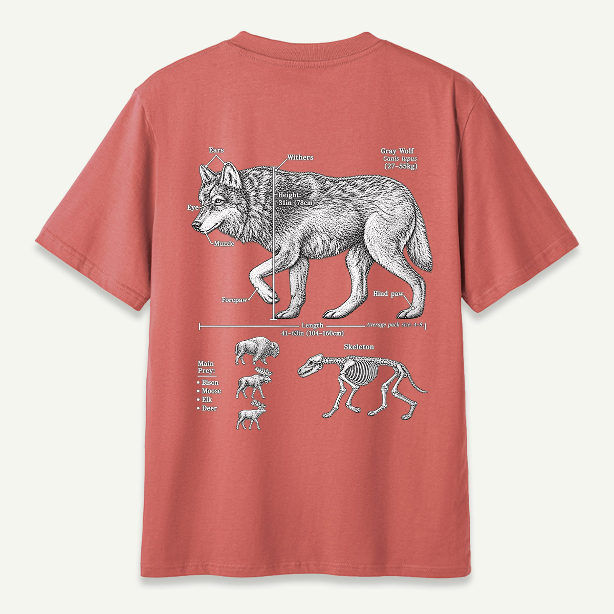 Wolf C Lupus Anatomy Diagram T-Shirt