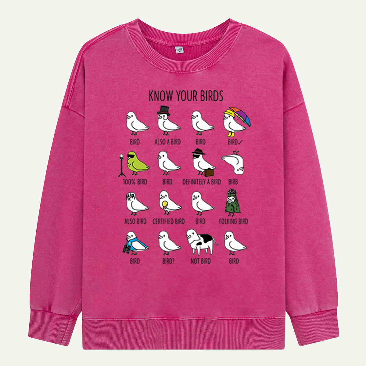 Know Your Birds Bird Chart Washed Sweatshirts