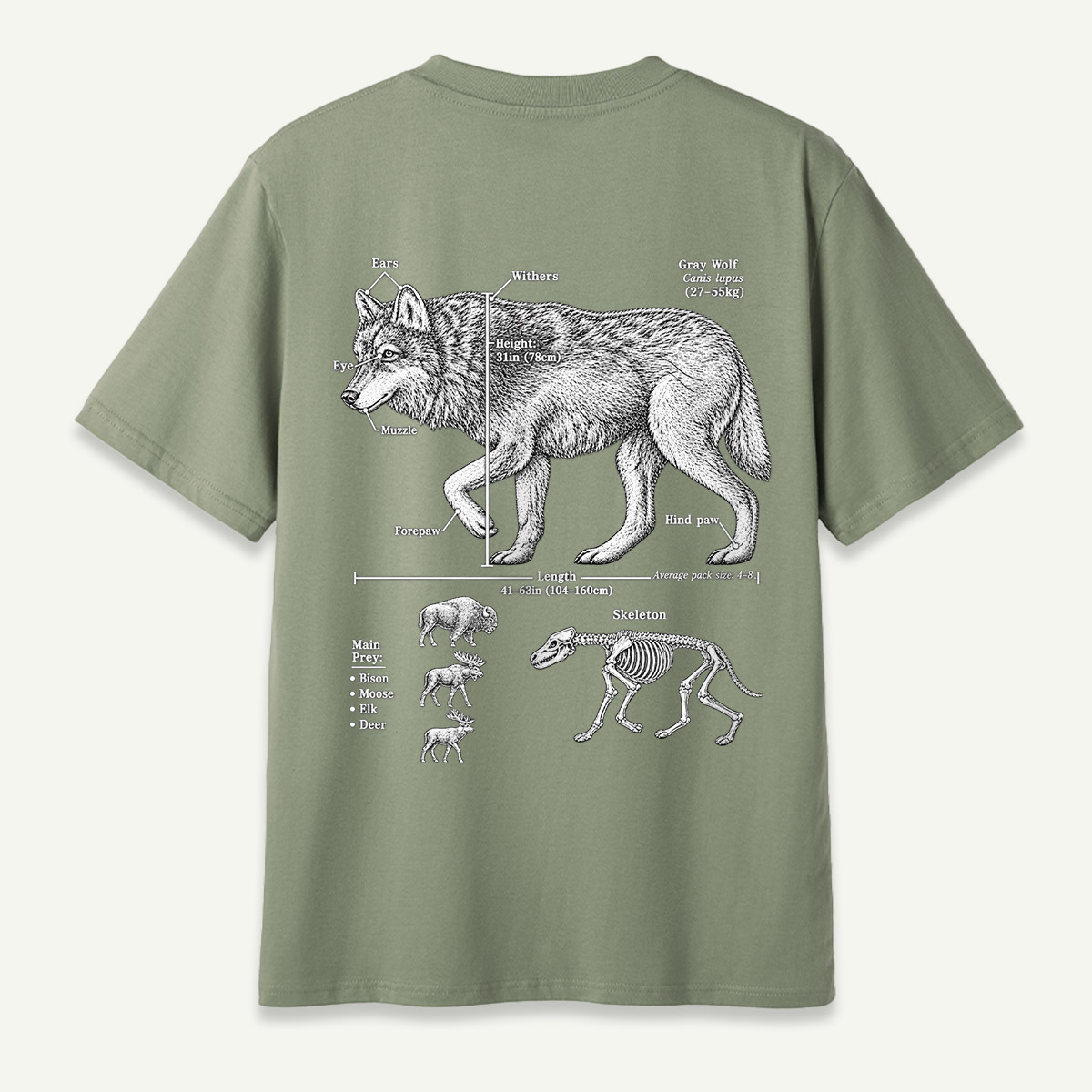 Wolf C Lupus Anatomy Diagram T-Shirt