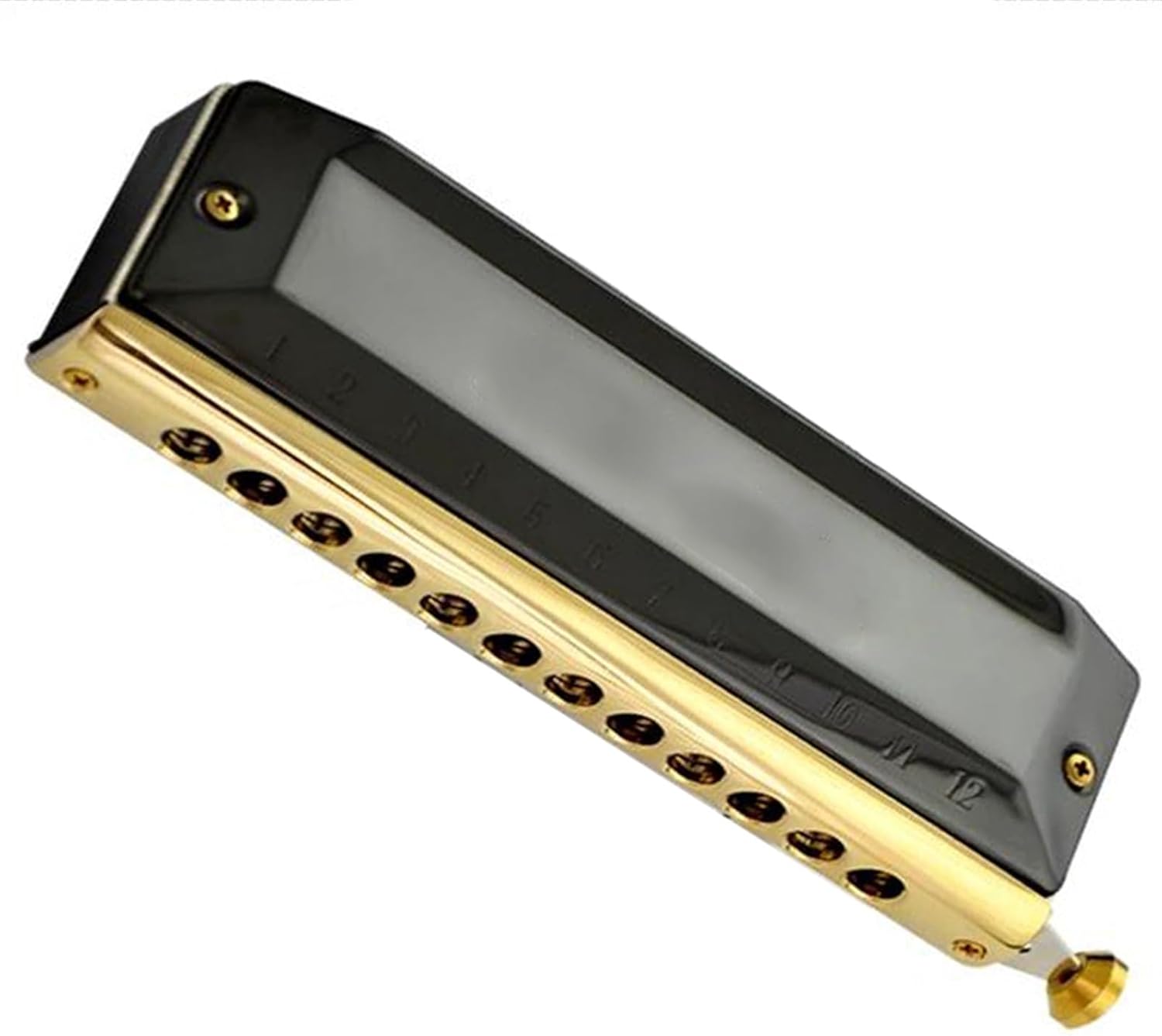 WOMELF harmonica chromatique 16 trous en C - couvercle acier inoxydable noir lisse - instrument pour débutant-Lamiahaven