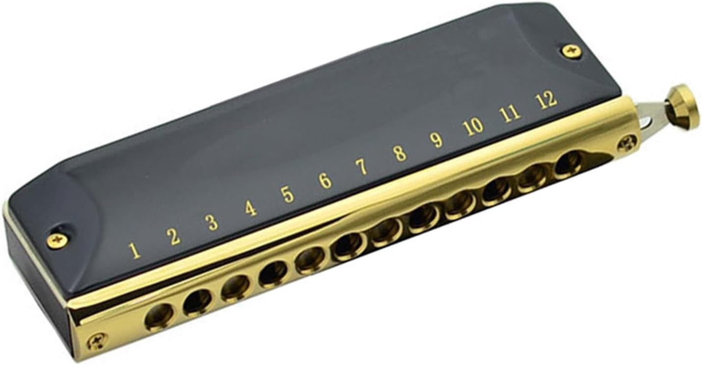 TSTS harmonica chromatique noir 12 trous - 48 tons embout rond - instrument adulte débutant-Lamiahaven