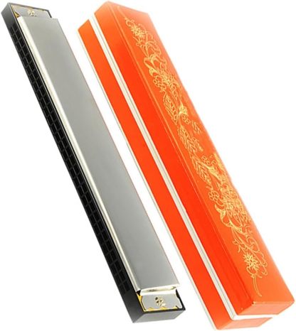 DABAUR harmonica polyphonique 30 trous en do - grand harmonica adulte - instrument de musique pour débutant-Lamiahaven