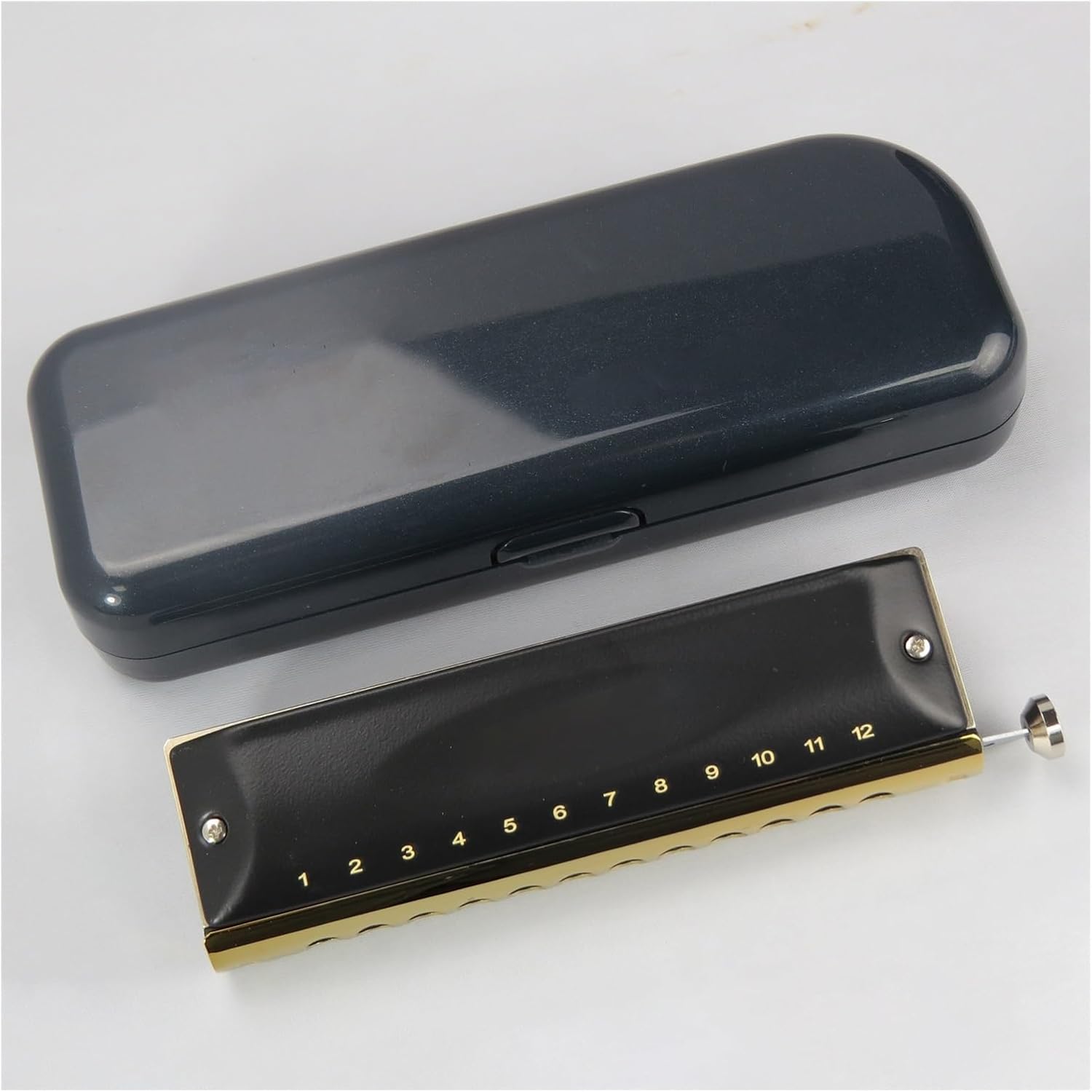 TSTS harmonica chromatique étudiant 12 trous - 48 tons clé C - peigne ABS avec boîte-Lamiahaven