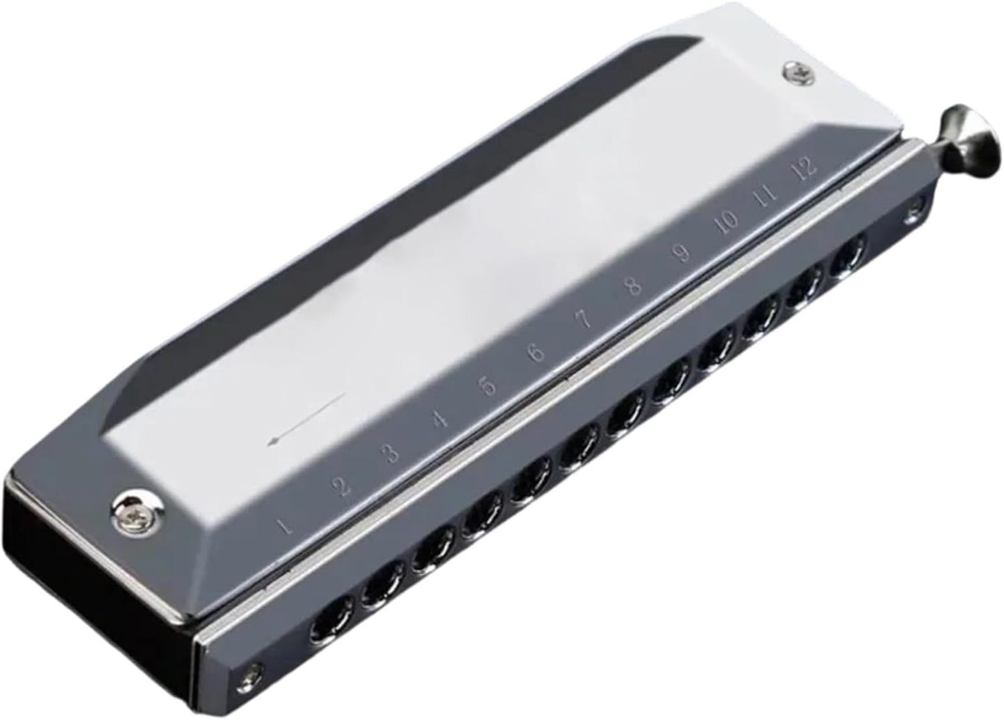 Harmonica chromatique professionnel pour débutant - 14 trous - 56 tons - instrument à vent en Do-Lamiahaven