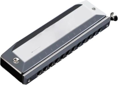 Harmonica chromatique professionnel pour débutant - 14 trous - 56 tons - instrument à vent en Do-Lamiahaven