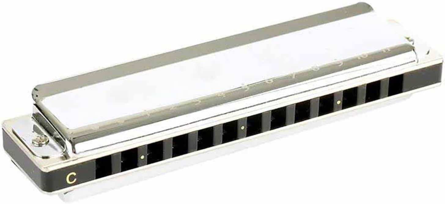 Harmonica professionnel DVCSDE 13 trous PowerChromatic D - clé en do pour débutants - instrument compact-Lamiahaven