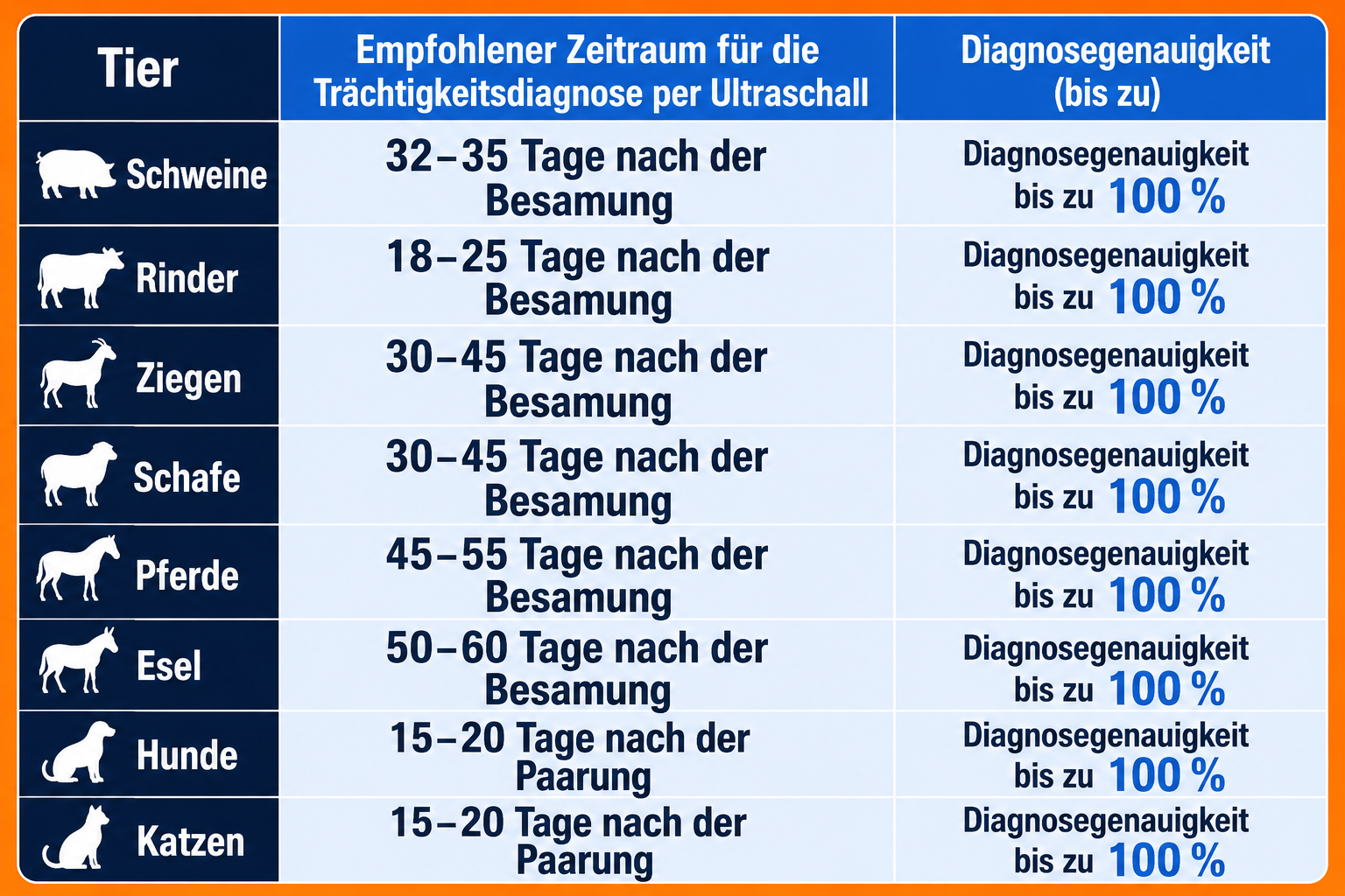 Tragbares B-Ultraschallgerät für die präzise Trächtigkeitsdiagnose bei Nutztieren