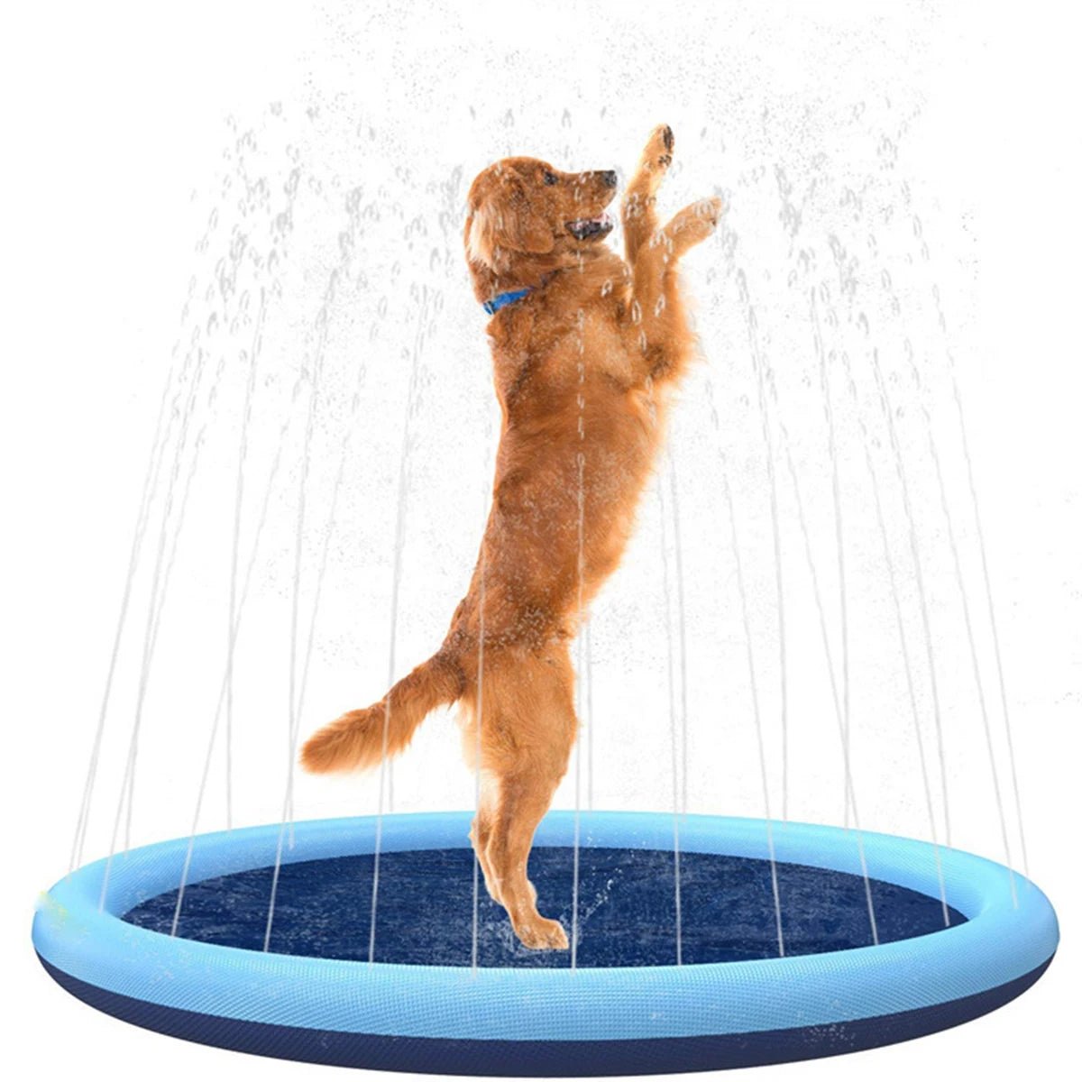 Doggie Splash pad
