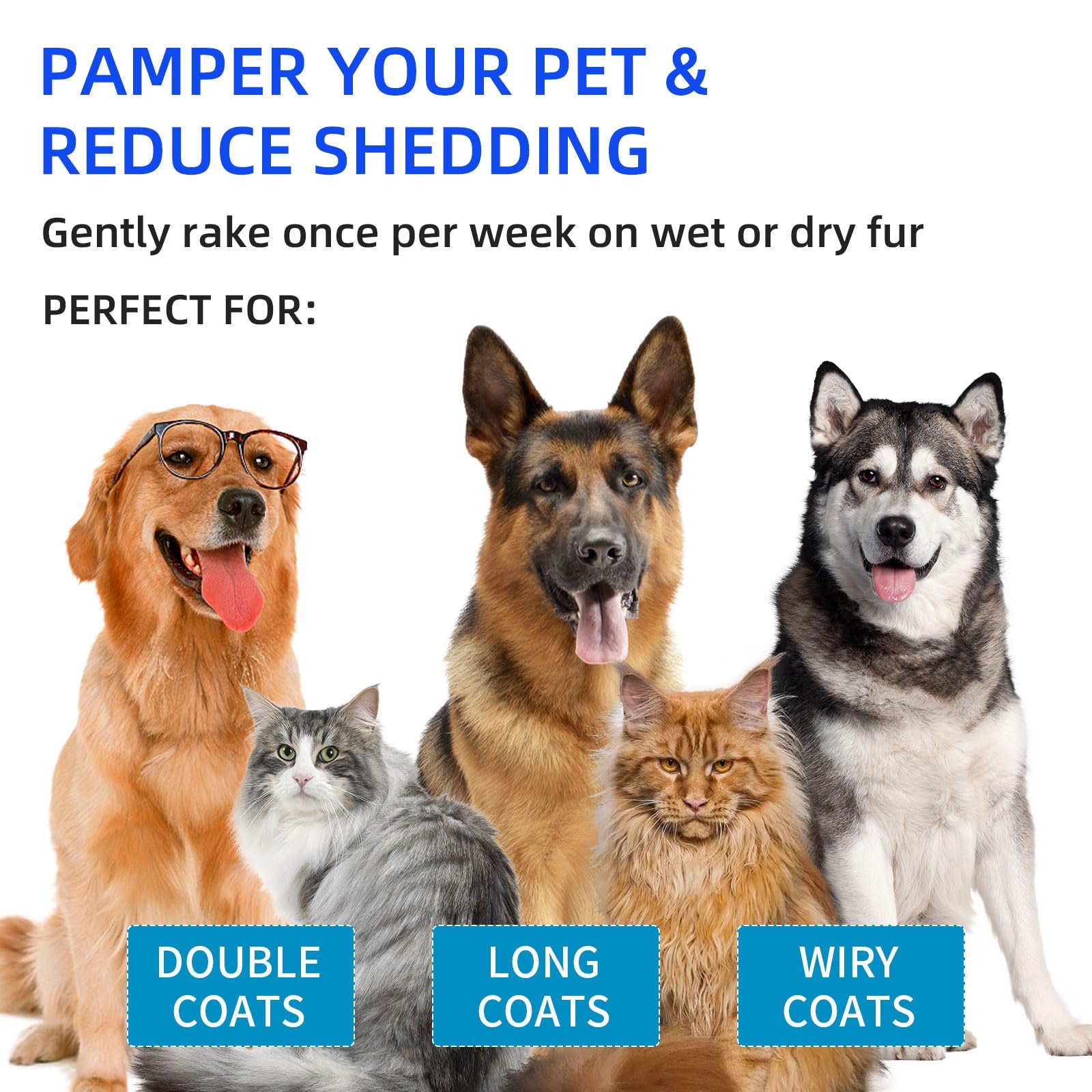 49% OFF🐶Pet Spray Hair Removal Comb & Pet Leave-In Cleaning Solution