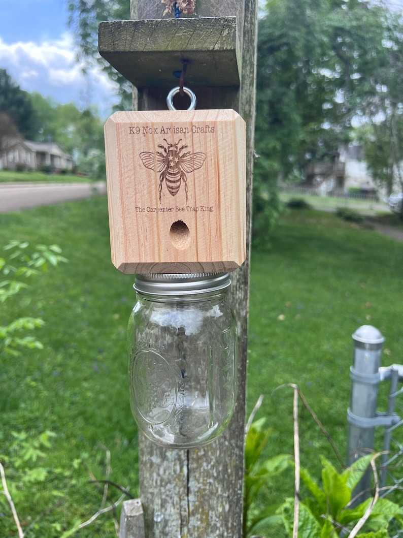 🐝Best Carpenter Bee Trap