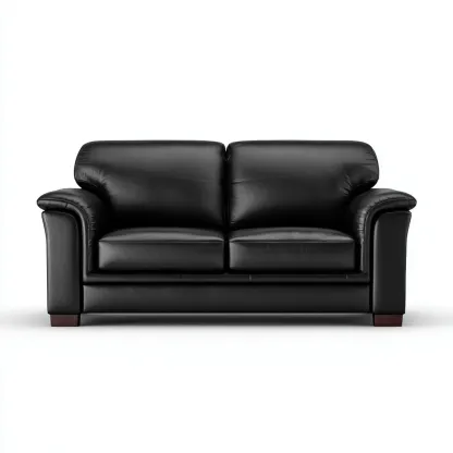 Canapé 2 places - Cuir - 180x94x85 cm - Noir - Style classique contemporain-Havoraiabode