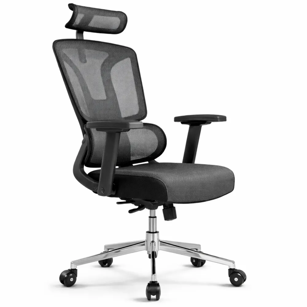 Sedia da Ufficio Ergonomica con Supporto Lombare e Braccioli Regolabili