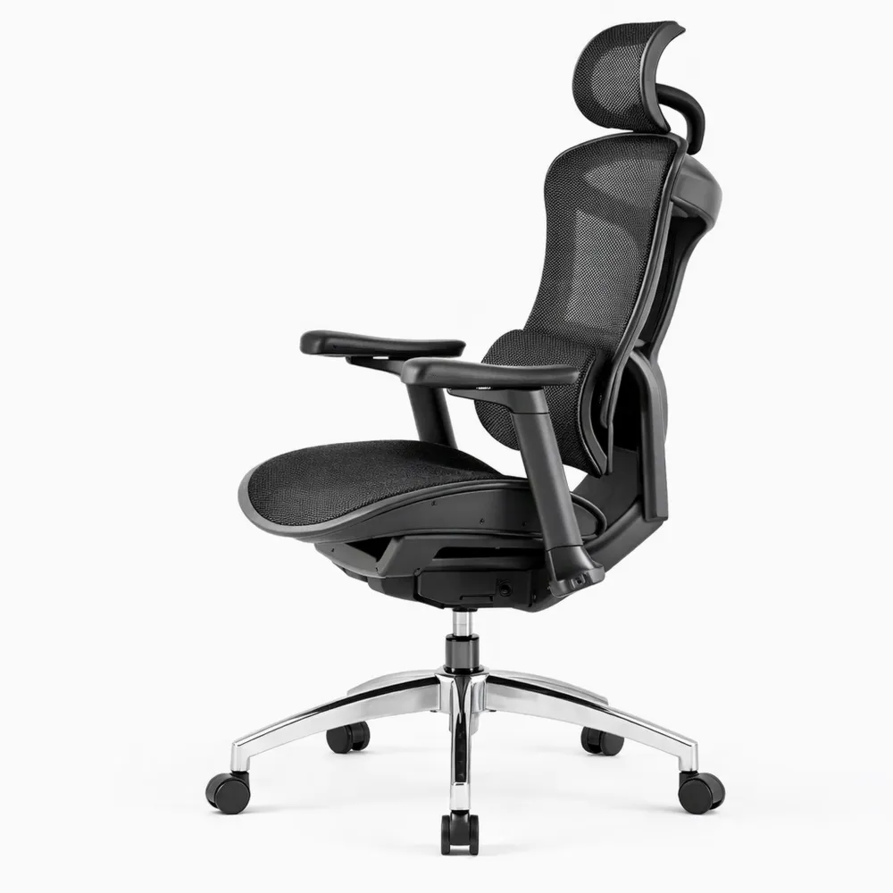 Sedia da Ufficio Ergonomica con Braccioli 3D e Supporto Lombare Dinamico