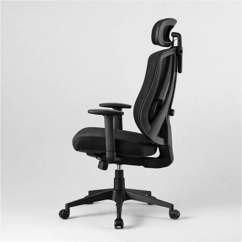 Sedia Ergonomica con Supporto Lombare e Braccioli Regolabili