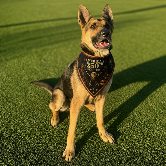🦅 America’s 250th Anniversary Commemorative Pet Bandana