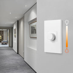 TRIAC dimmer switch