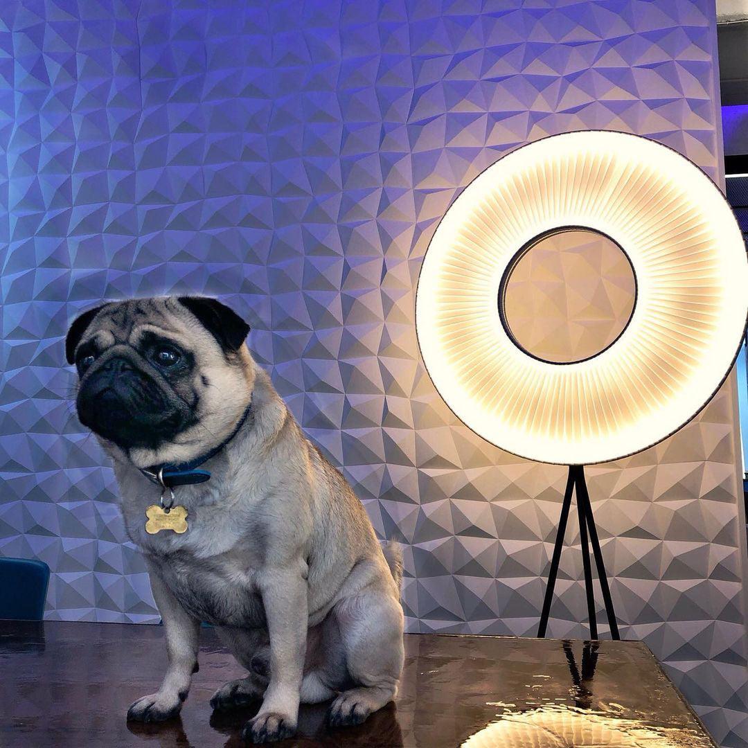 Vespera Floor Lamp
