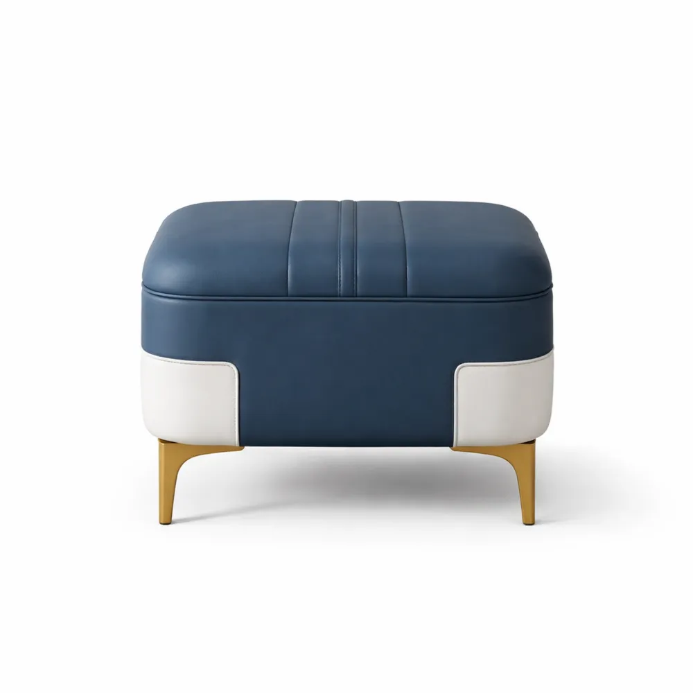 Panca contenitore moderna con cuscino per ingresso