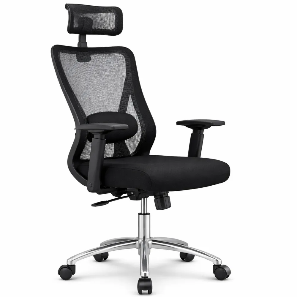 Sedia da Ufficio Ergonomica con Supporto Lombare e Braccioli Regolabili