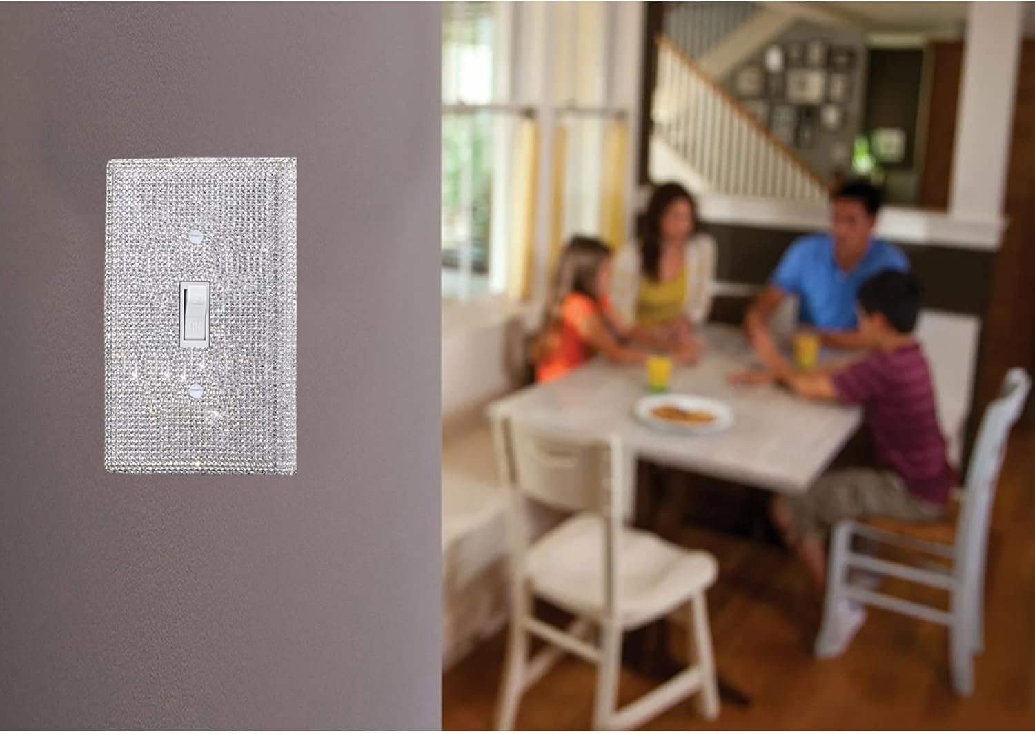 Light Switch Cover