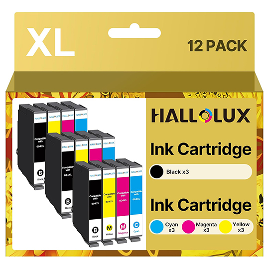 604 Cartridges 604XL Multipack Compatible with Epson 604 Cartridges 604 XL for Epson XP 3200 Printer Cartridges for XP 2205 XP 4200 XP 3205 XP 4205 Workforce WF 2930 WF 2935 WF 2910