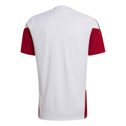 Germany Adult World Cup 2026 Training Jersey