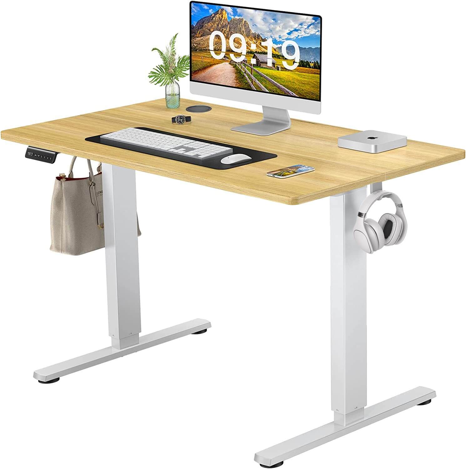 Electric Height Adjustable Standing Desk,Sit to Stand Ergonomic Computer Desk