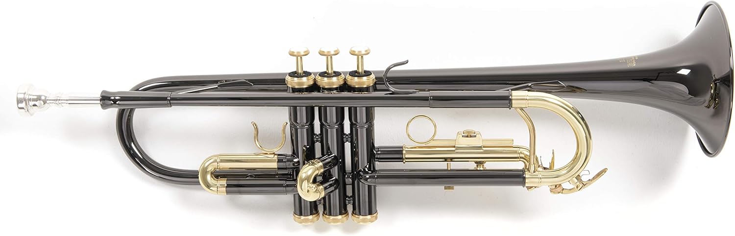 Roy Benson TR 101K - Trompette Sib anthracite en cuivre et laiton - Instrument laqué avec étui pour apprentissage et pratique-Matiiloft