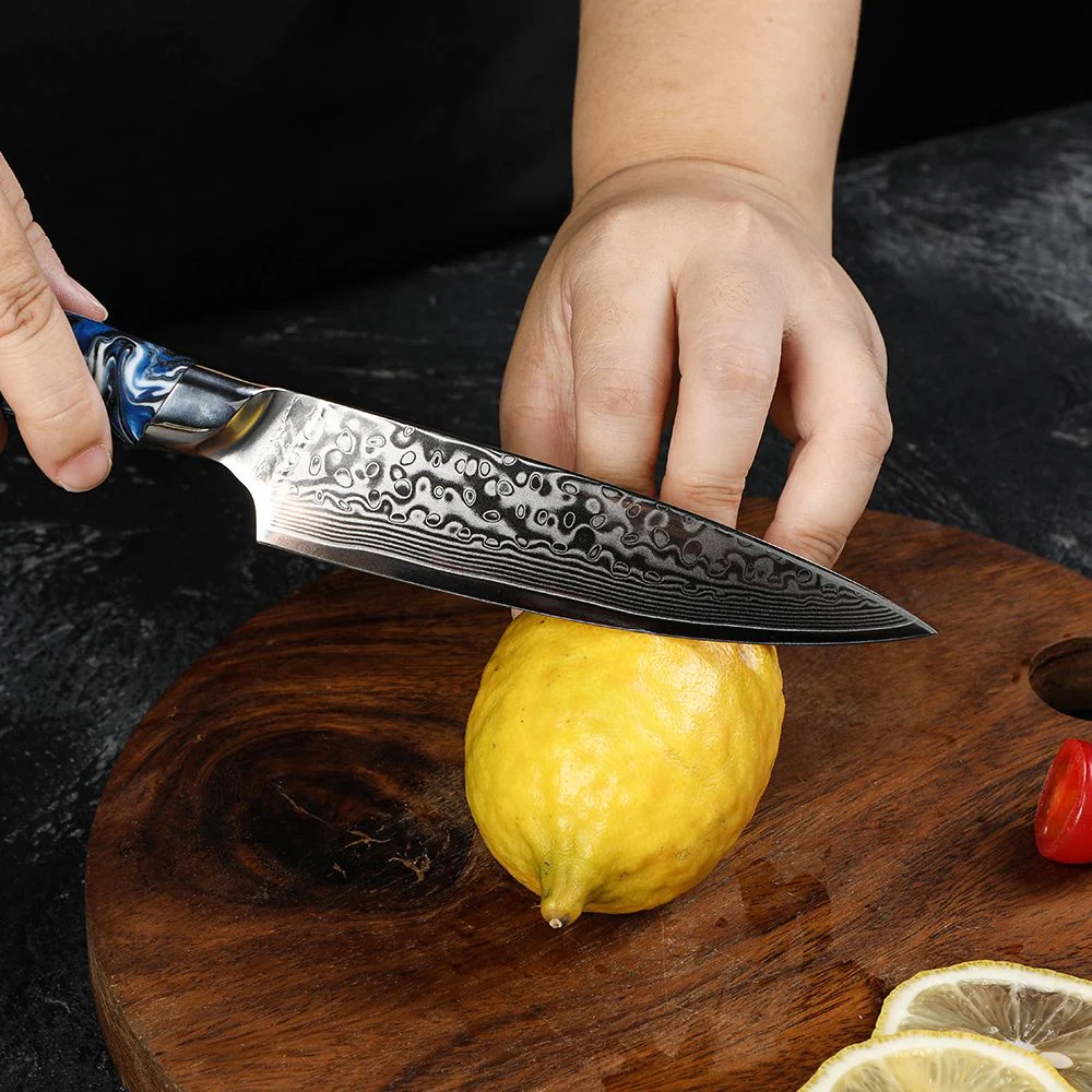 Suraisu 5-Piece Kitchen Knife Set - Chef | Bread | Santoku | Paring Knife - Starry Night Collection
