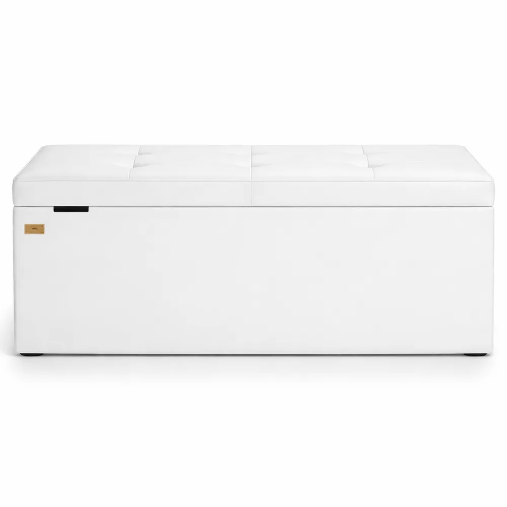 Cassapanca Contenitore Pieghevole 115x40x40cm 131L