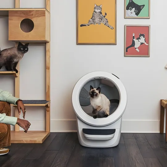 Last Day For Clearance 2026 New Self-Cat Litter Cleaner