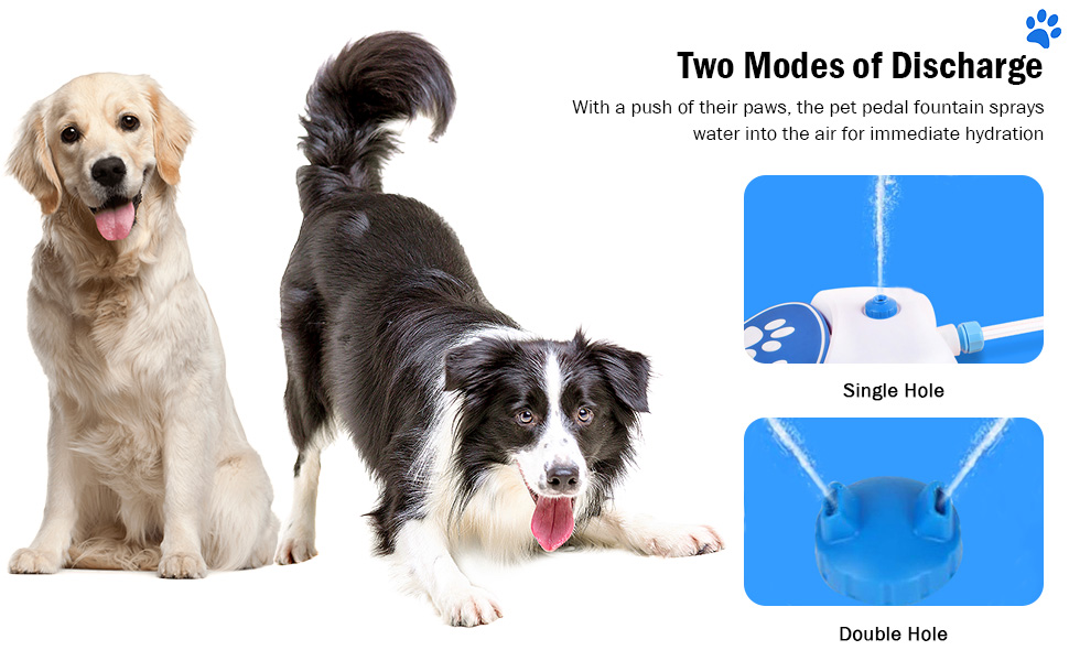 Step On Dog Water Dispenser No Battery