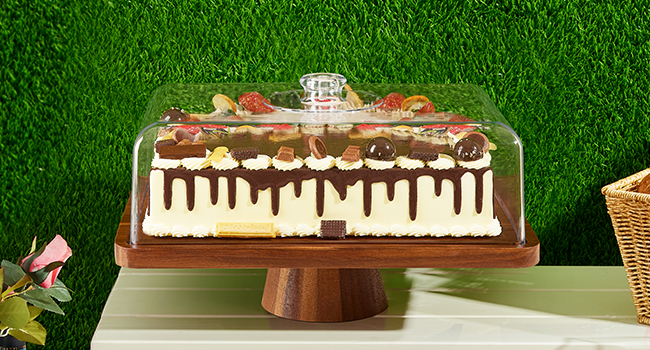 cake stand with dome 	 glass cake dome 	 cake dome  	 cake turntable for decorating