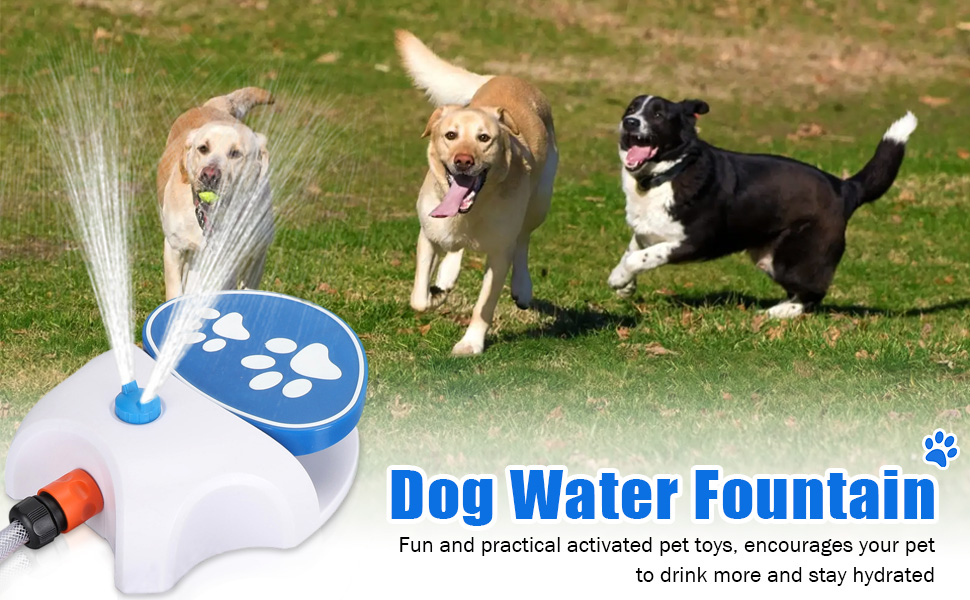 Outdoor Dog Water Fountain Features
