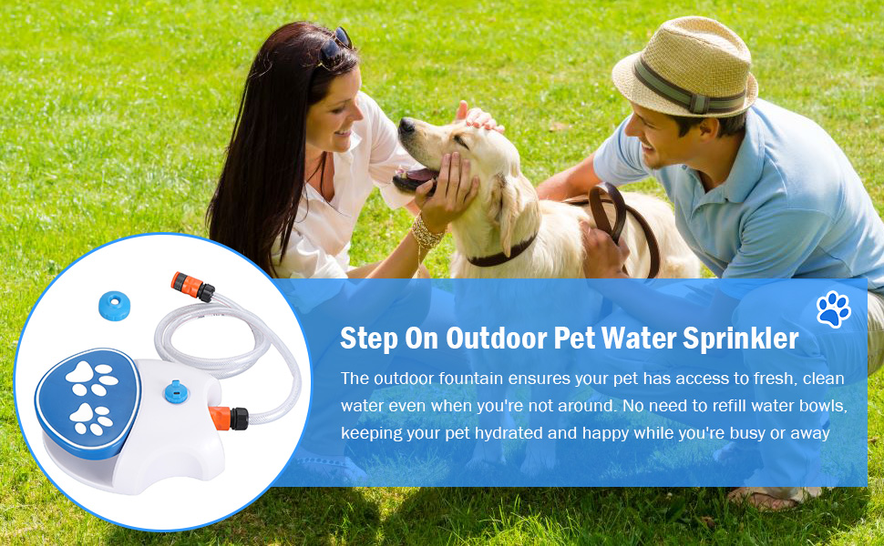 Dog Pet Water Sprinkler Health Benefits
