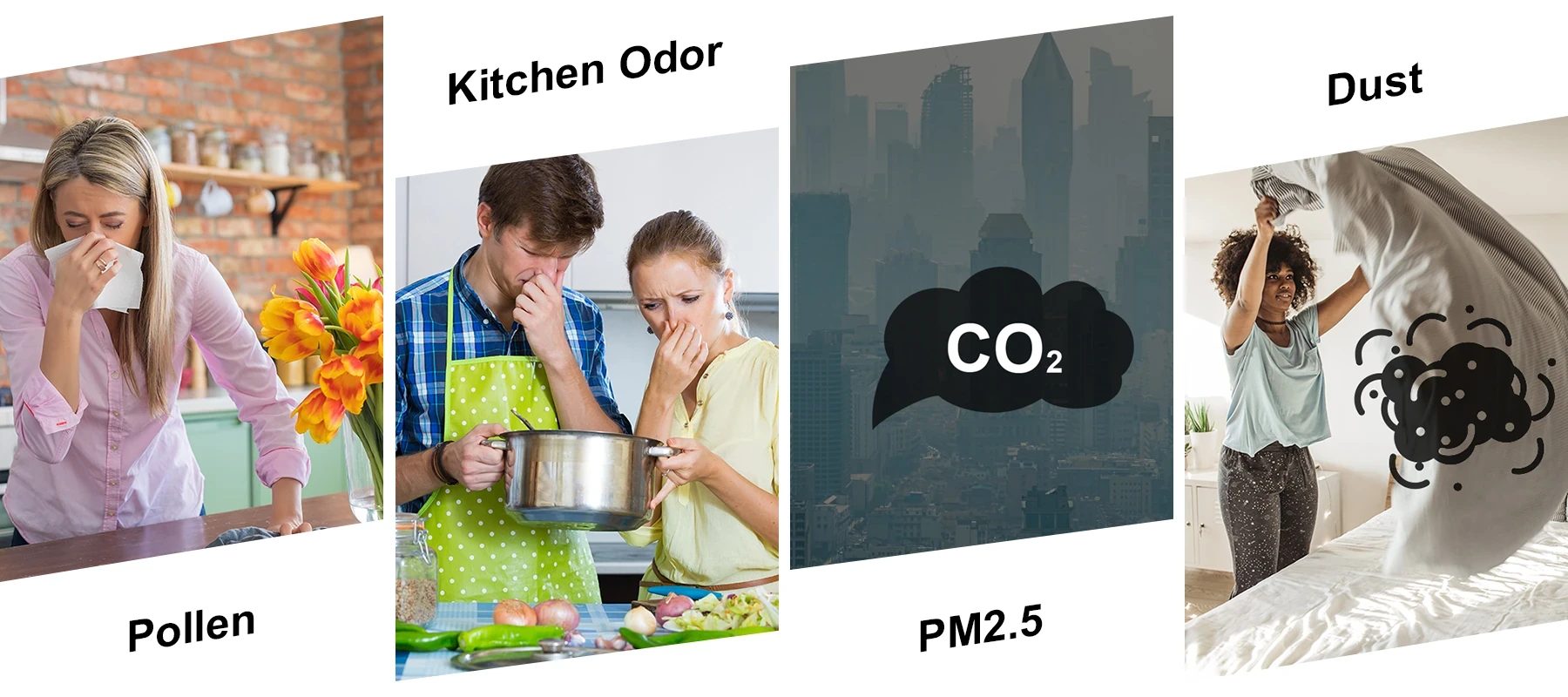 Infographic showing four indoor air quality concerns: pollen, kitchen odor, PM2.5/CO2 pollution, and dust.