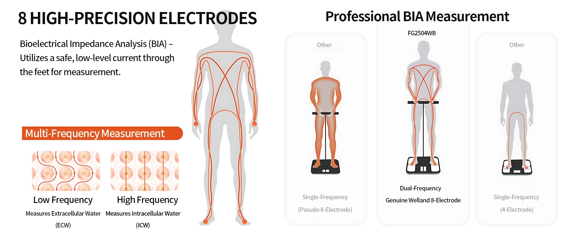 Digital 8-Electrode Smart Bathroom Scale - Image 2