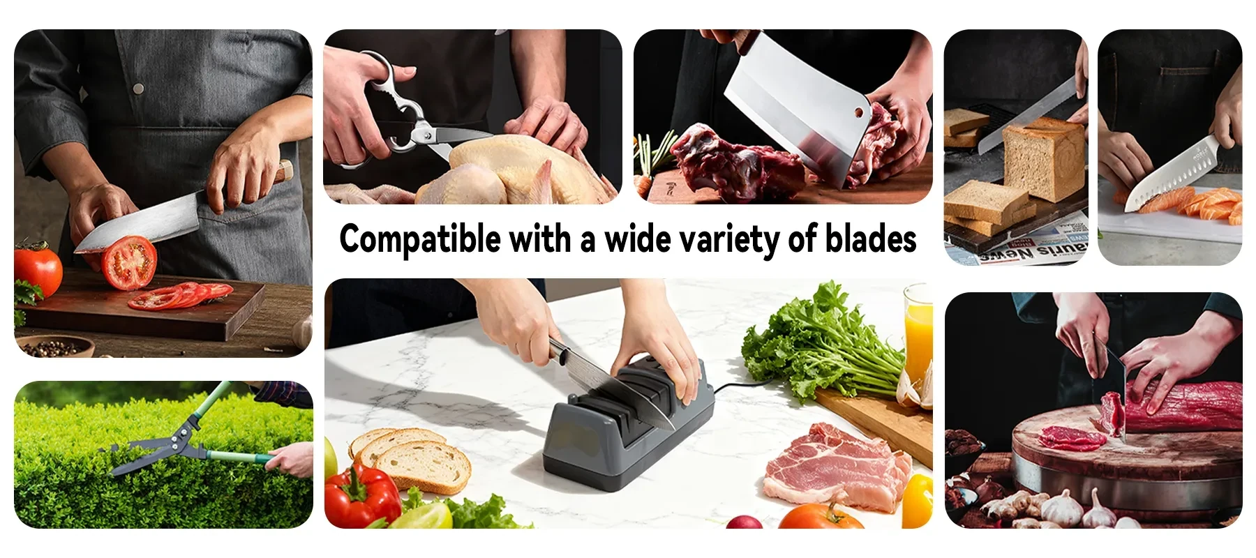 Oliventa Electric Knife Sharpener - Image 1