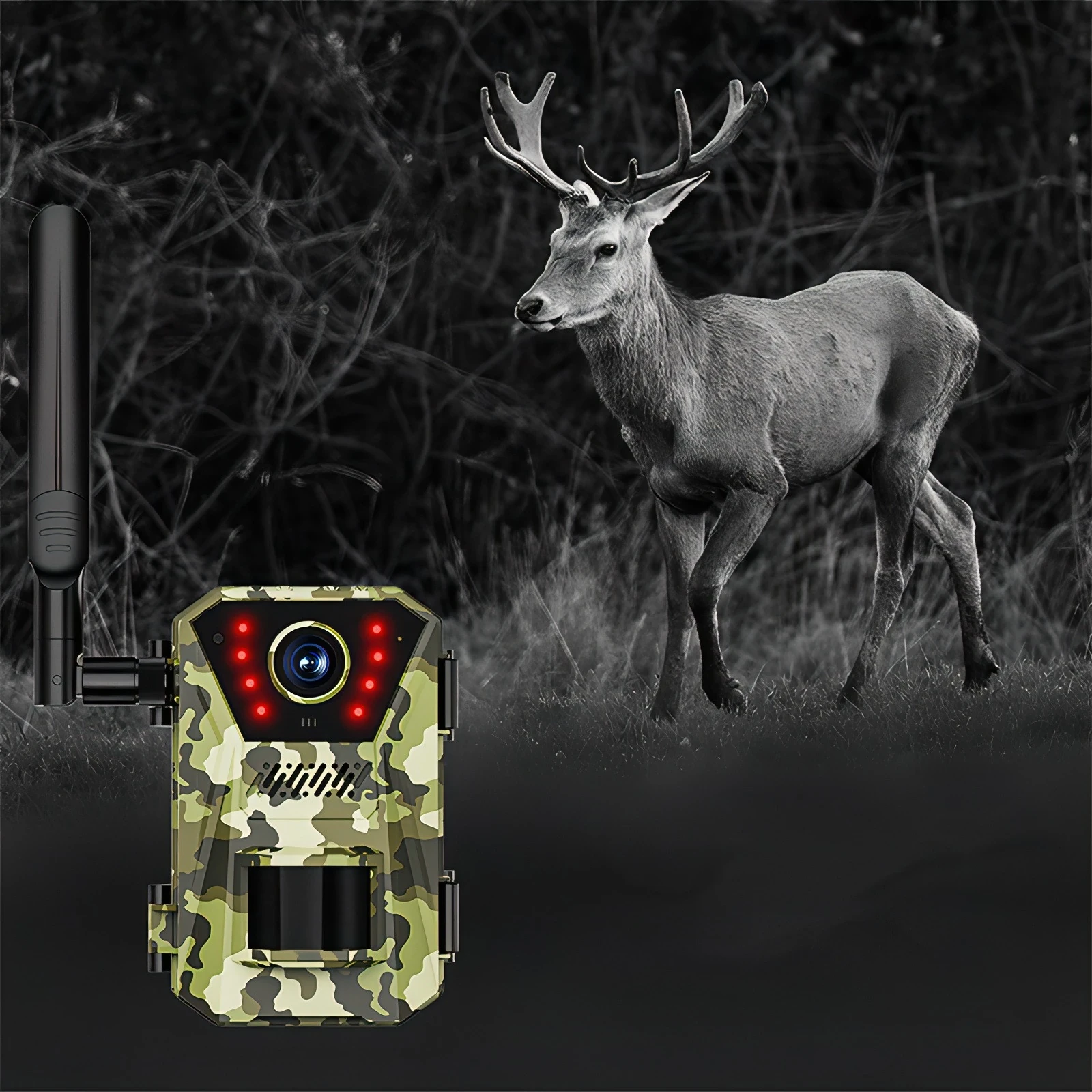 Keovy Wildlife Camera - Image 1