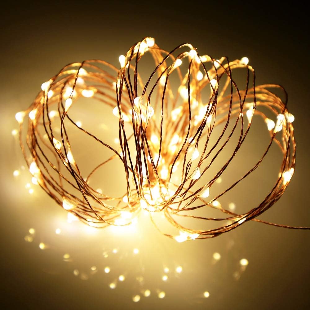  Led Fairy Lights Battery Operated, 2 Packs Mini Battery Powered Copper Wire Starry Fairy Lights for Bedroom, Christmas, Parties, Wedding, Centerpiece, Decoration (5m/16ft Warm White) Visit the Ariceleo Store