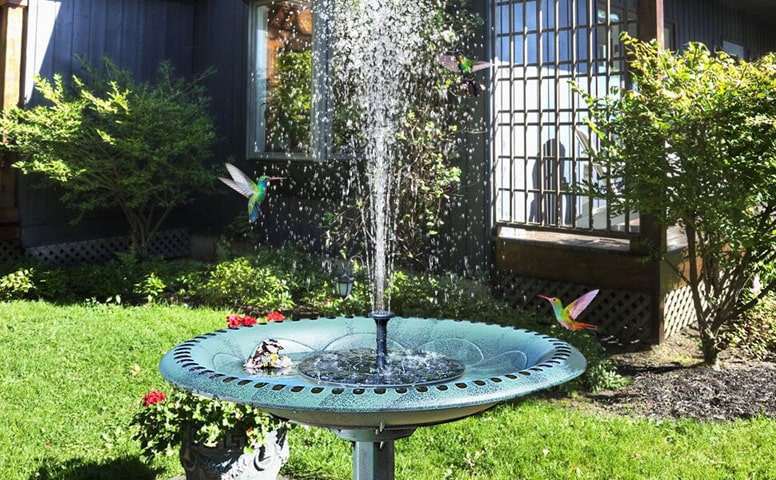 Bird Baths