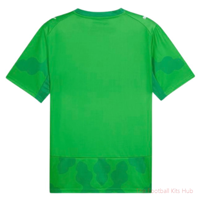2026/27 Egypt Goalkeeper Shirt Green Your Name - image 3
