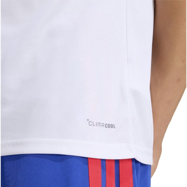 [BSJH] 2026 2027 Olympique Lyon Shirt Home Kit Jersey