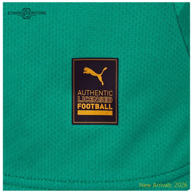 2024-2025 Plymouth Argyle Home Shirt-Football Jersey Hub