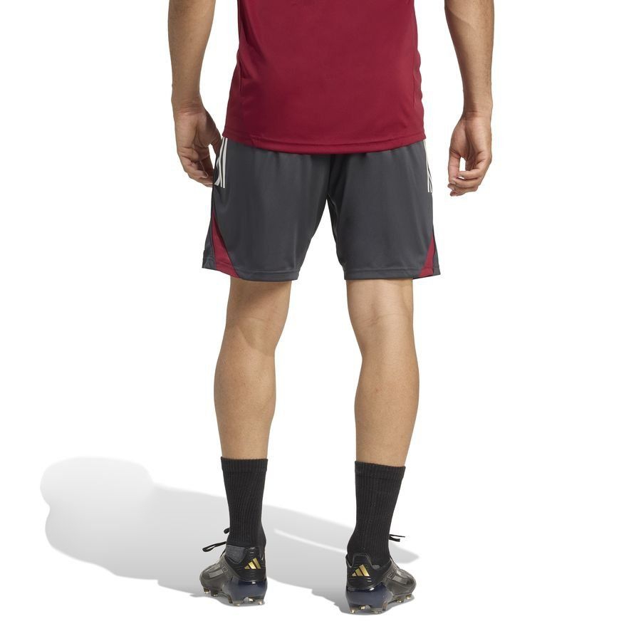 Arsenal Shorts Tiro EU Dark Grey/Collegiate 25 Training Burgundy Kit